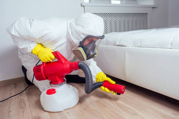 Best Bed Bug Extermination  in Three Rivers, MI